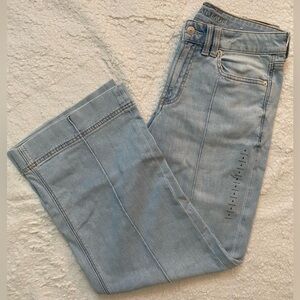 American Eagle Outfitters Low Rise Baggy Wide Leg Jeans